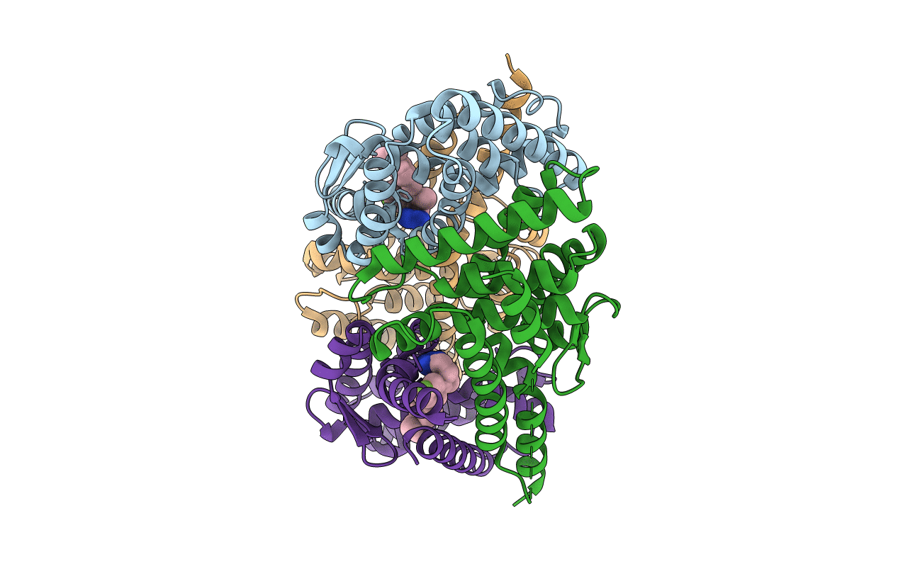 4N5G image