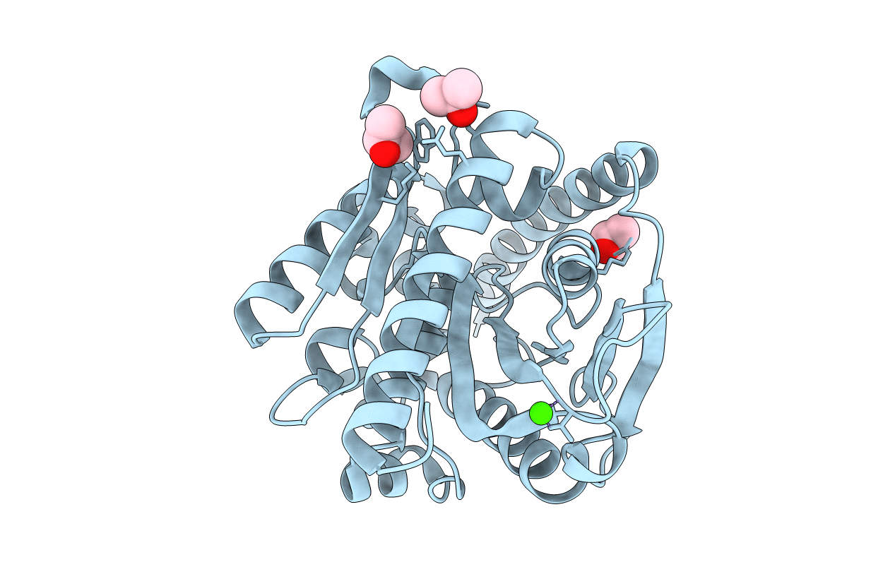 4n5h image