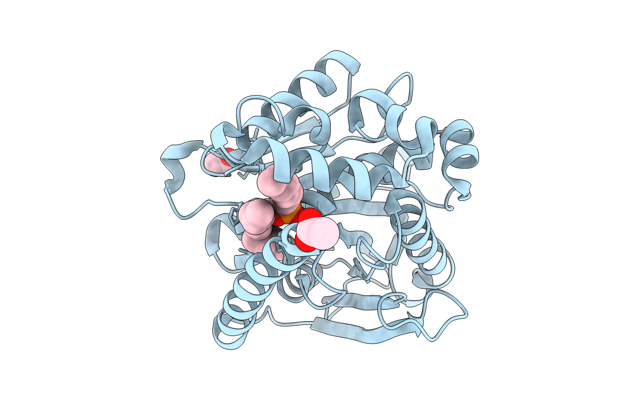 4N5I image