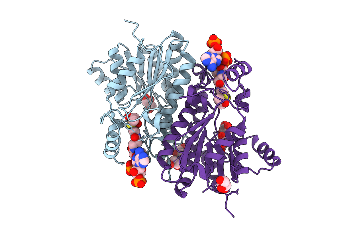 4N5M image