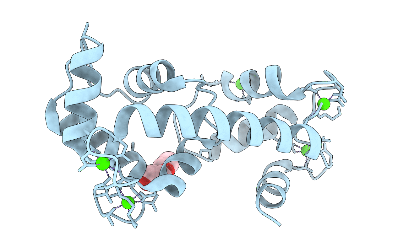 4N5X image