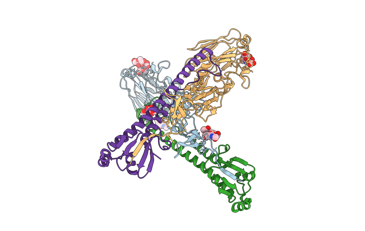 4N61 image