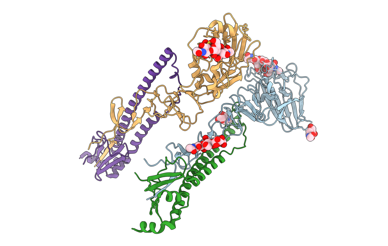 4N62 image