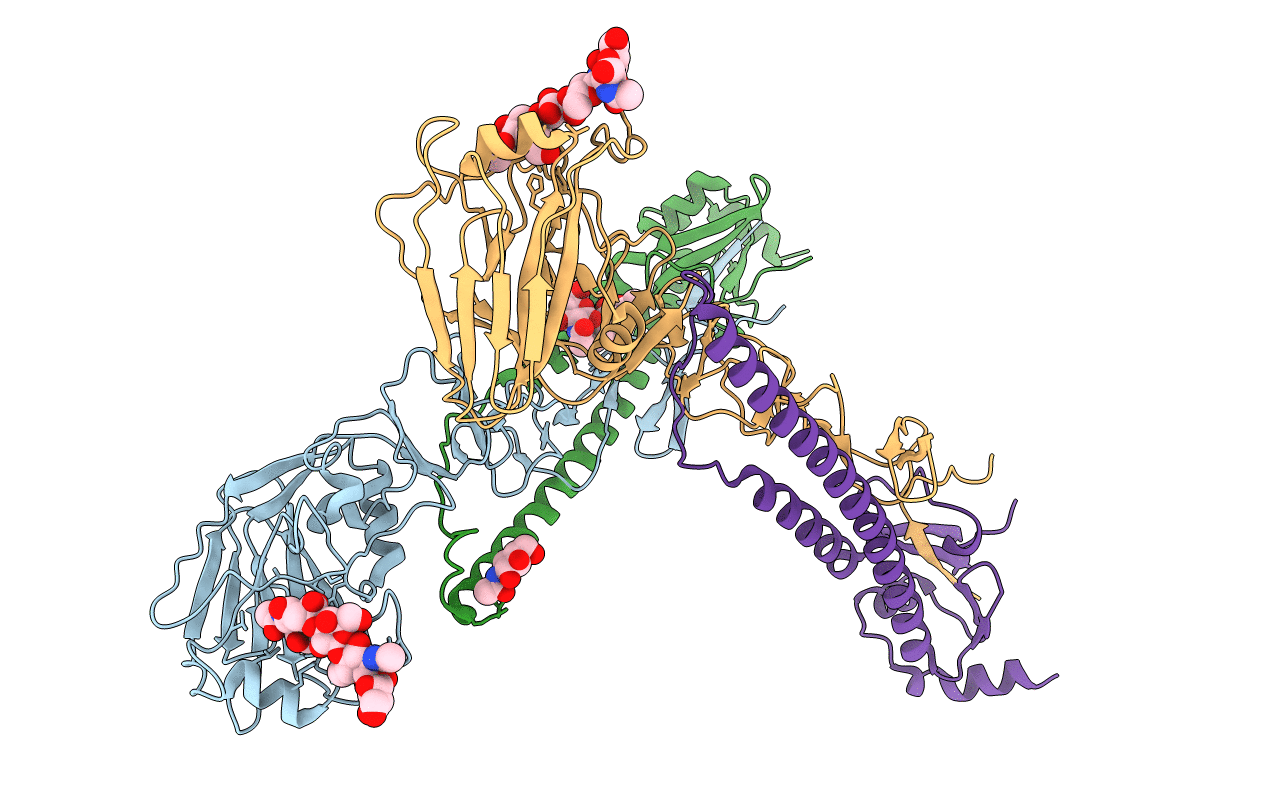 4N63 image