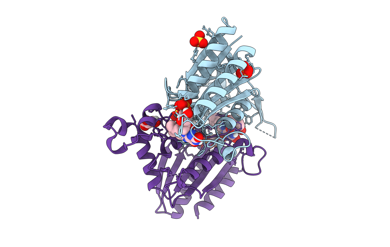 4N65 image