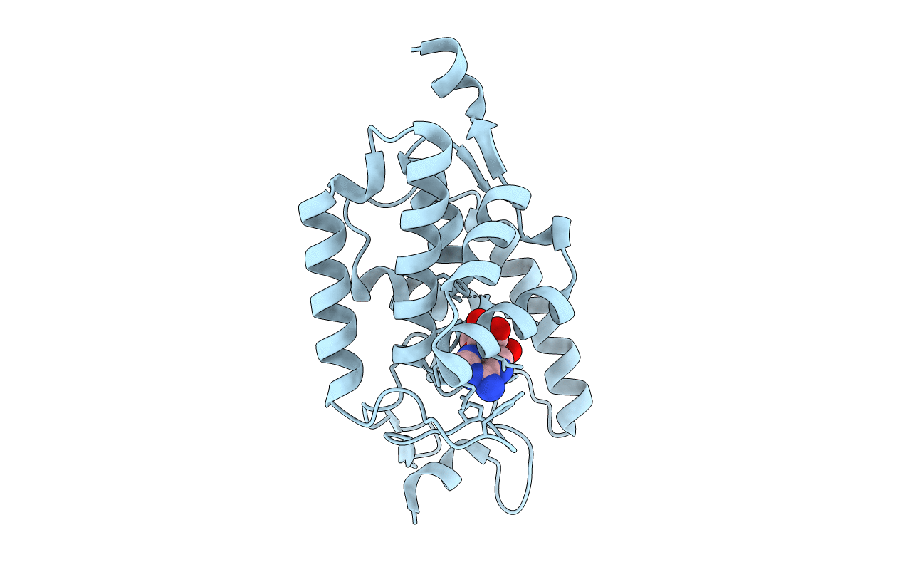 4N67 image