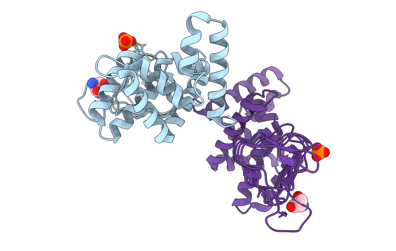 4N69 image