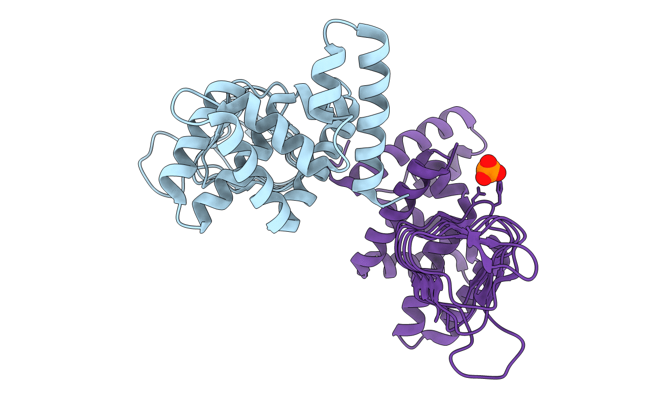 4N6A image