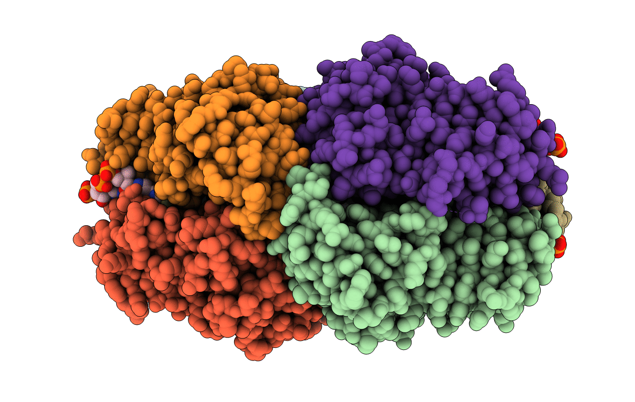 4N6B image