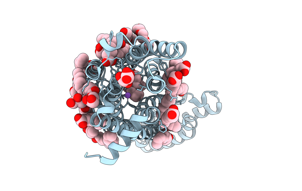 4N6H image