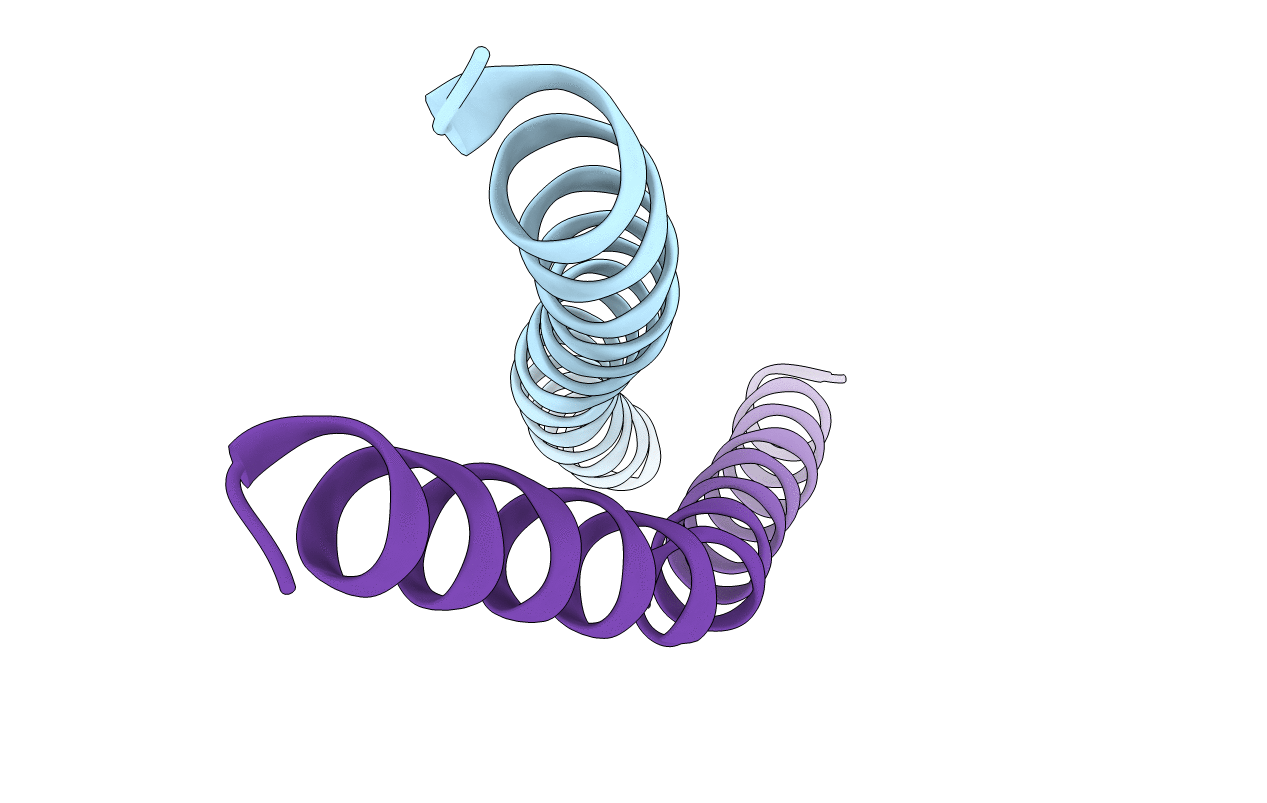 4N6J image