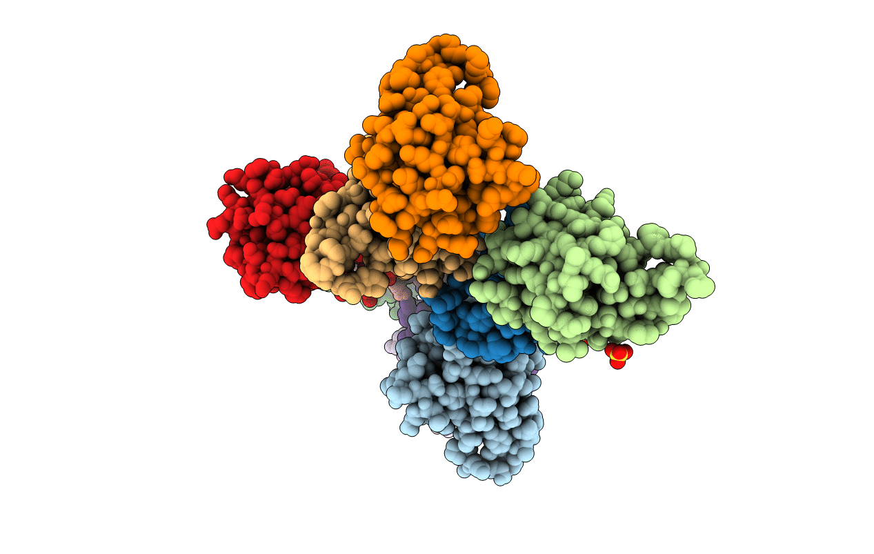 4N6V image