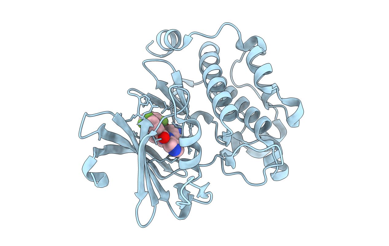 4N70 image