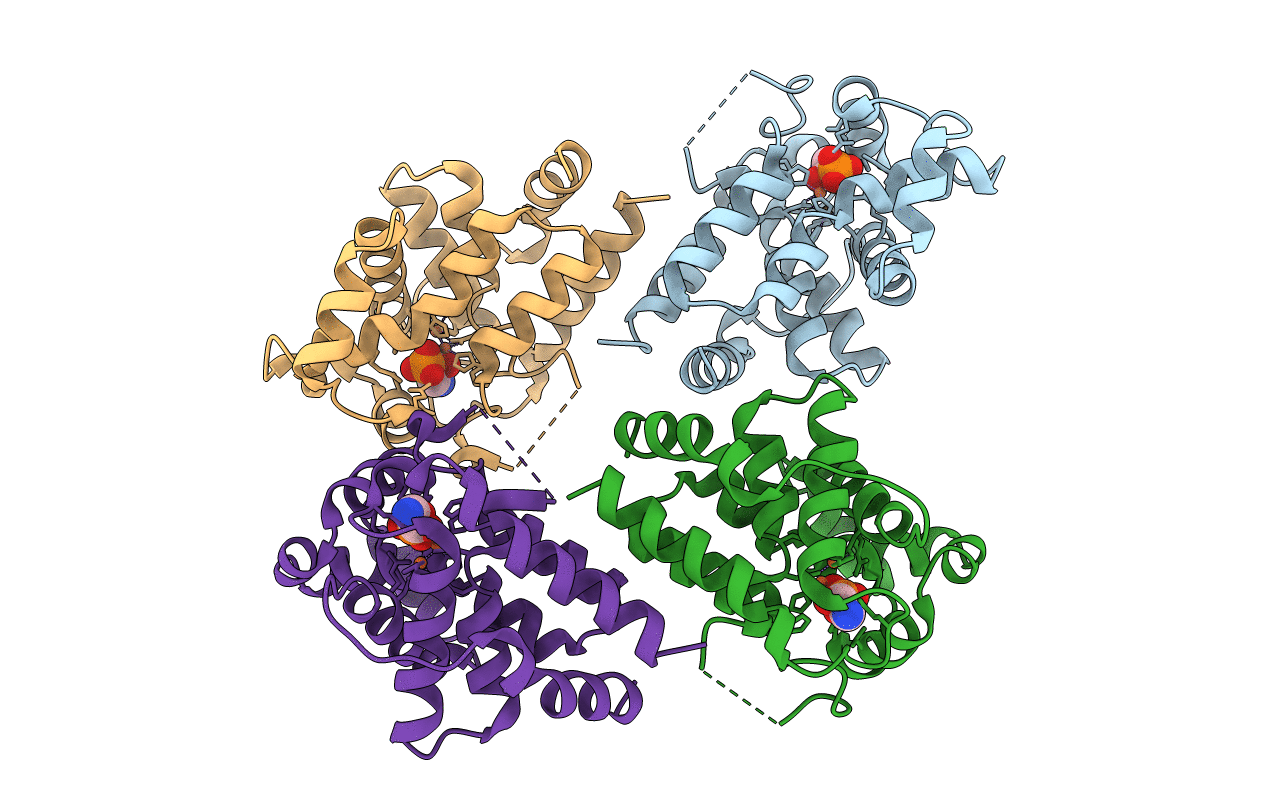 4N71 image