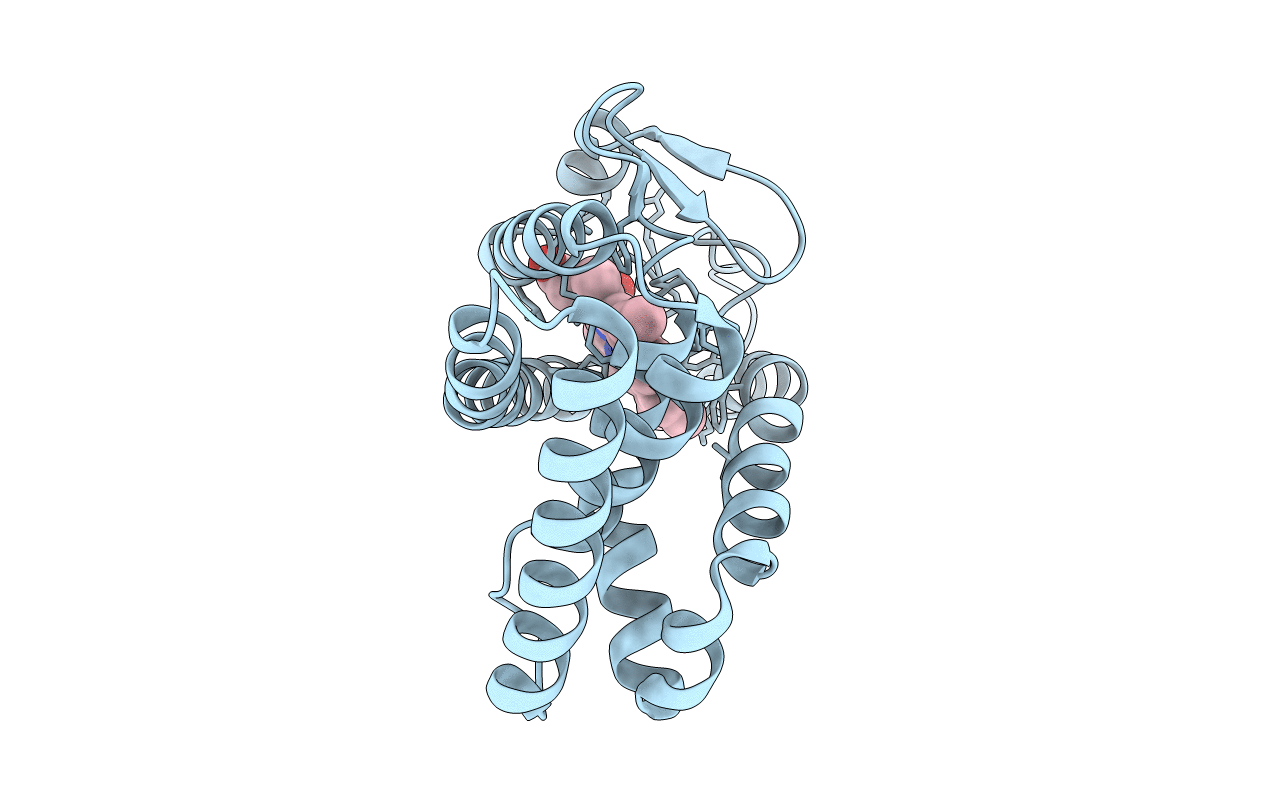 4N73 image