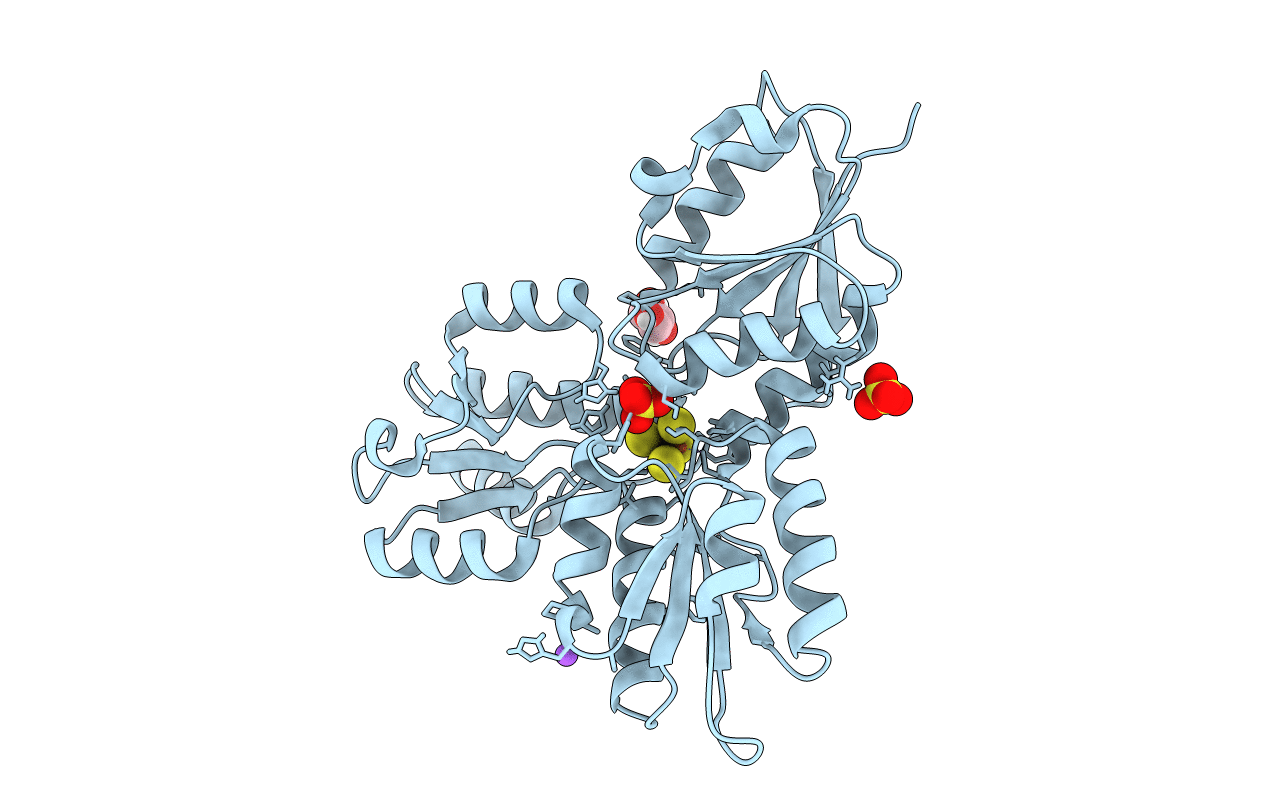 4N7B image