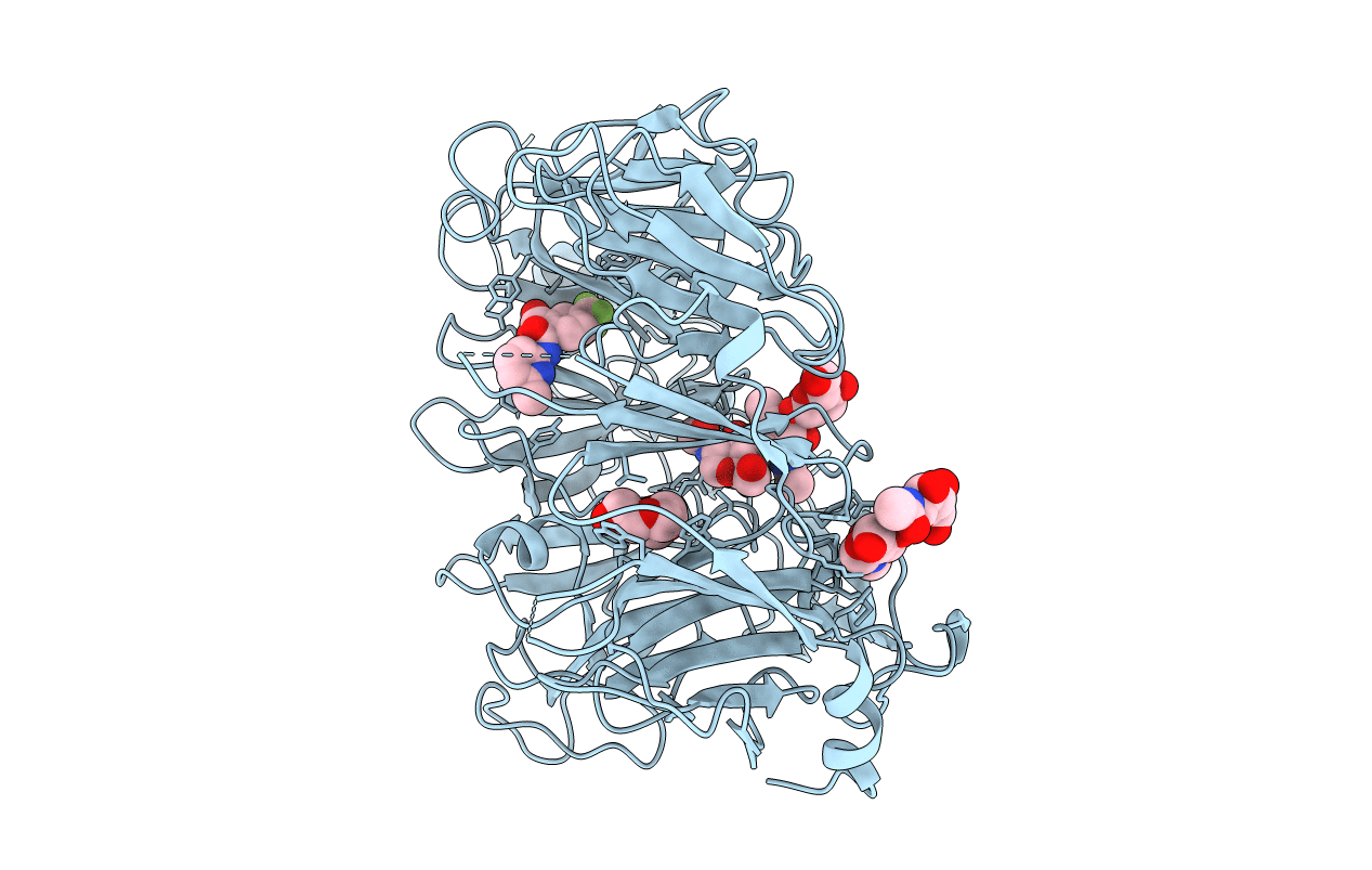 4N7E image