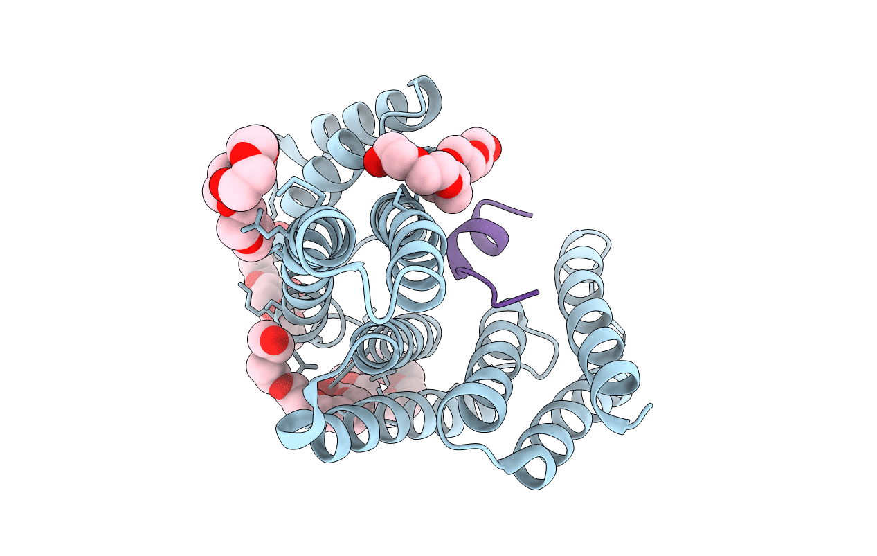 4N7G image