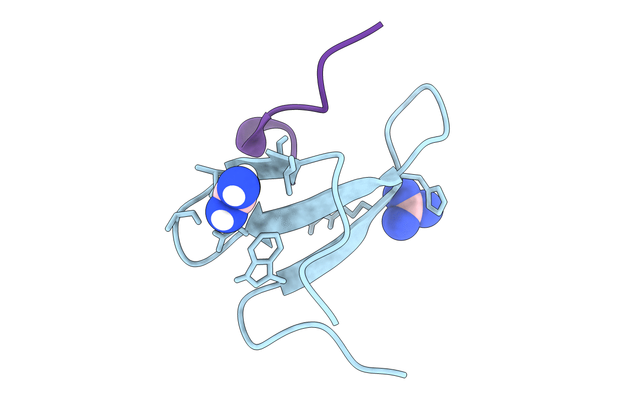 4N7H image