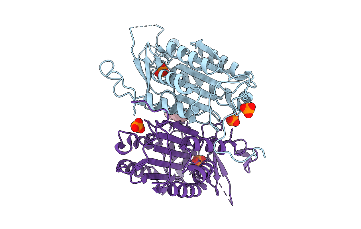 4N7M image
