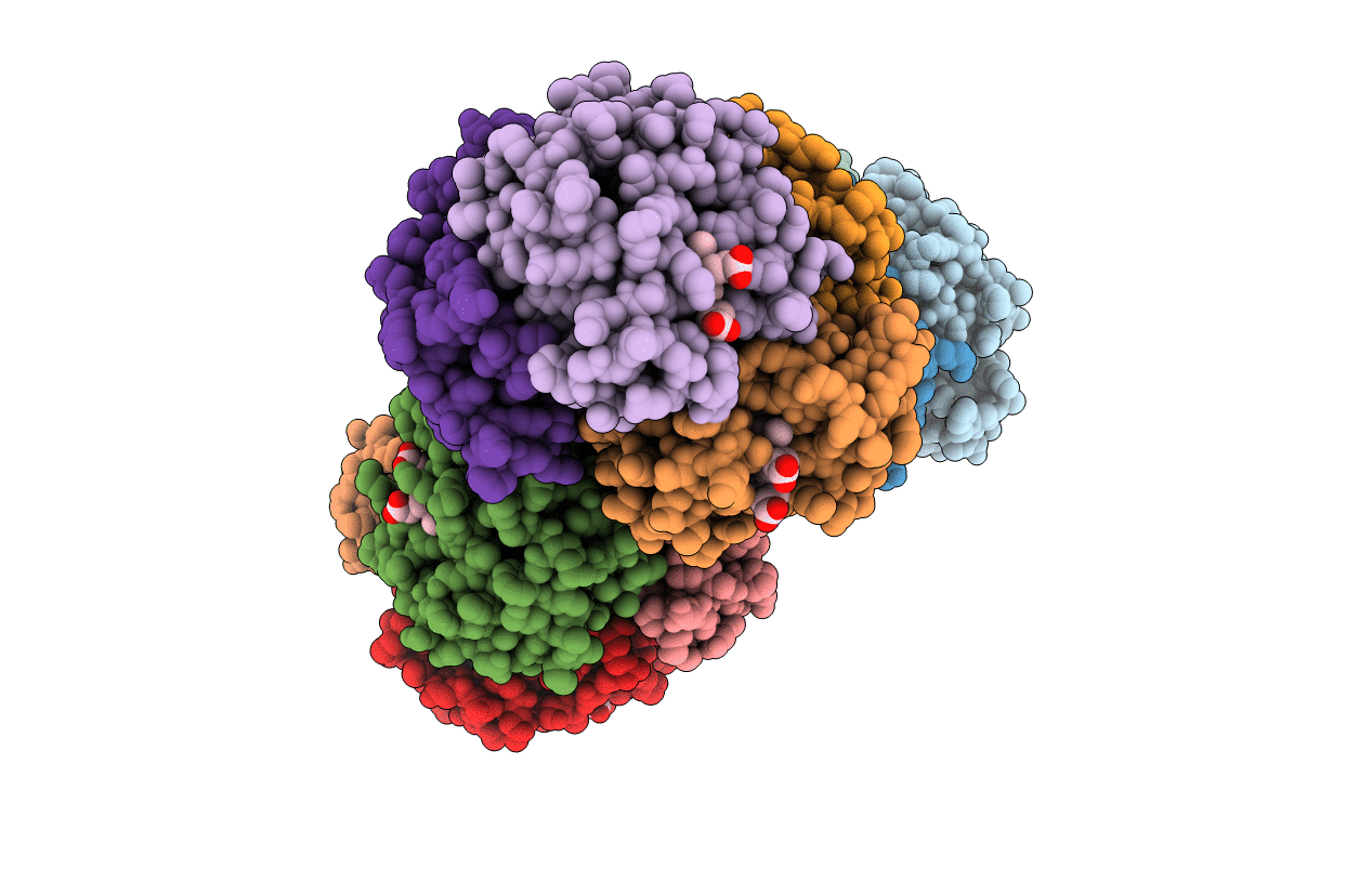 4N7O image