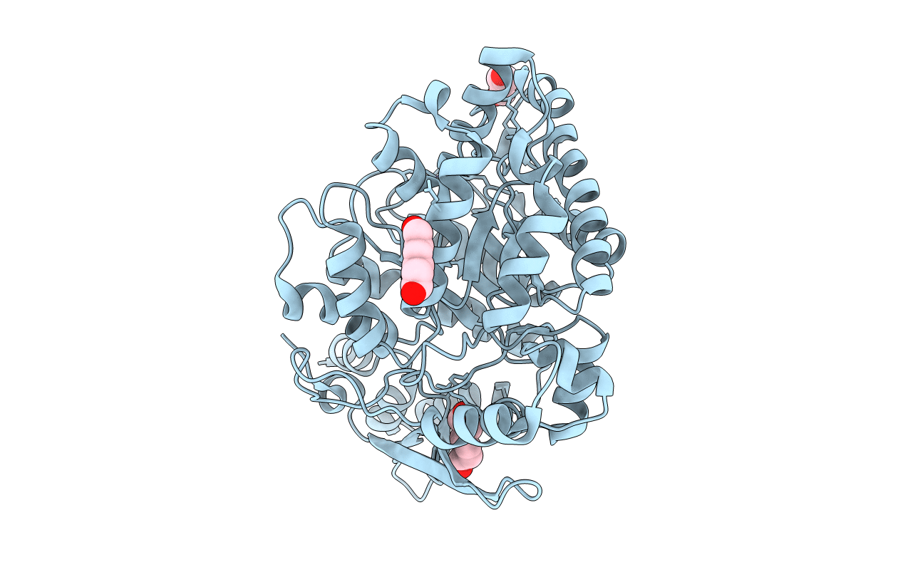 4N7Q image