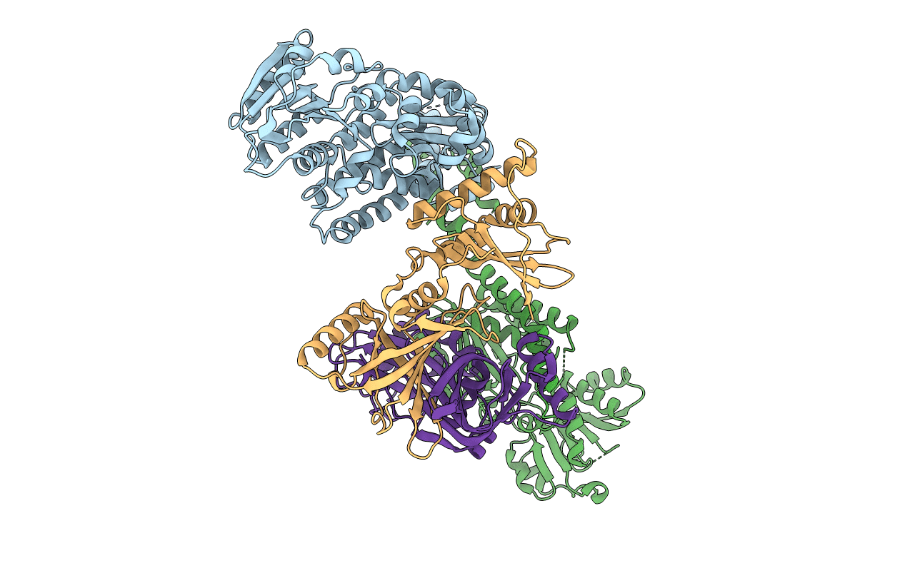 4N7R image
