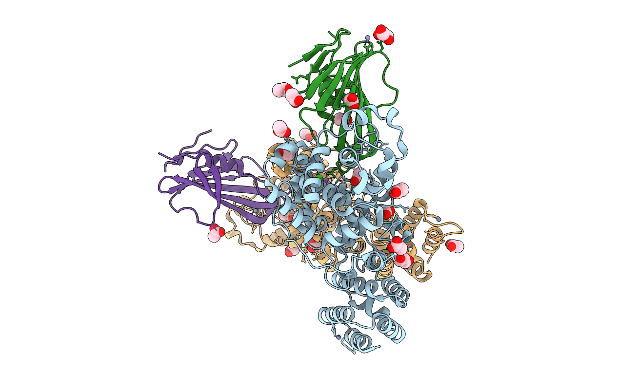 4N7S image