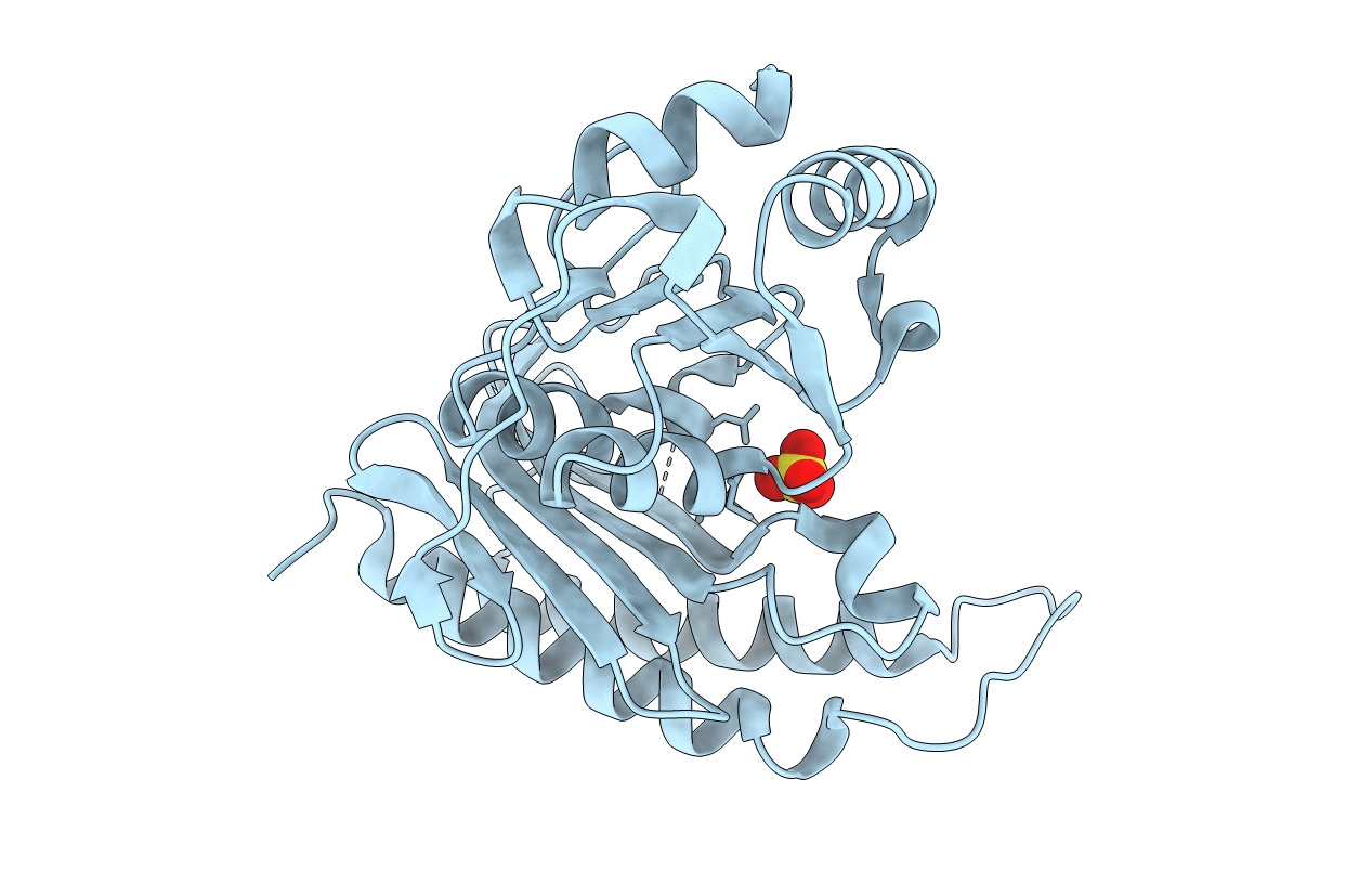 4N81 image