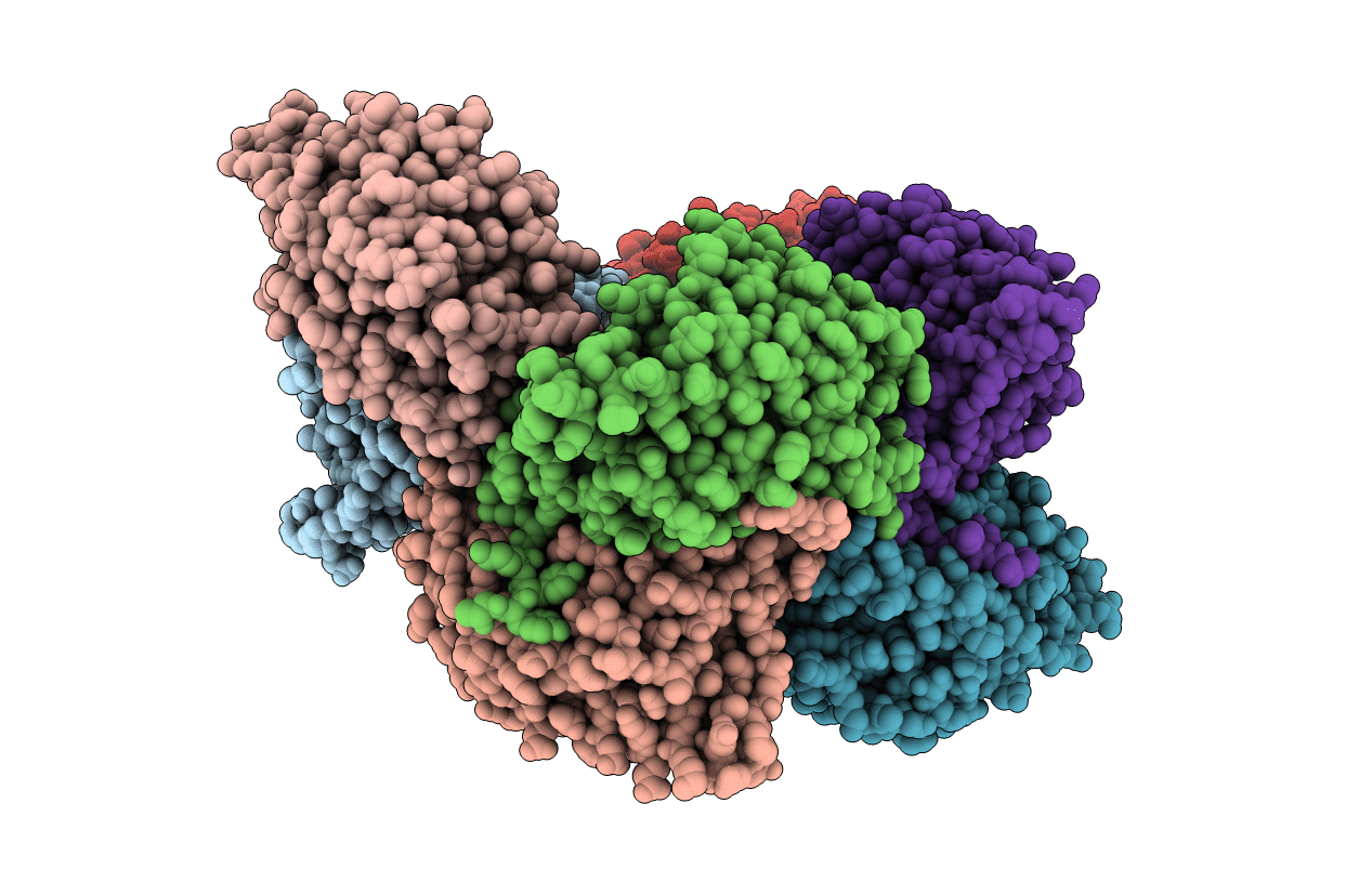4N83 image