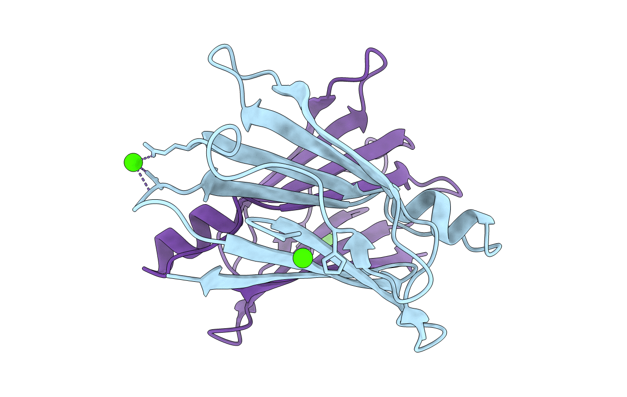 4N85 image