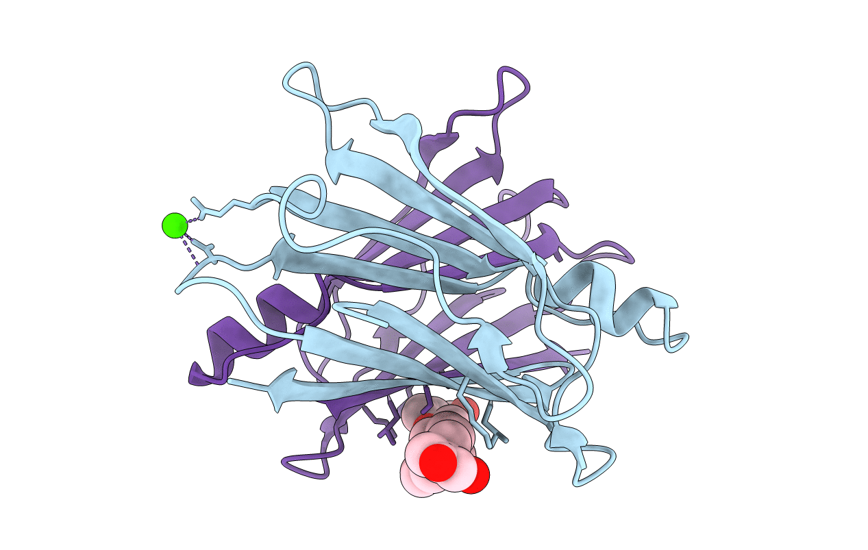 4N86 image