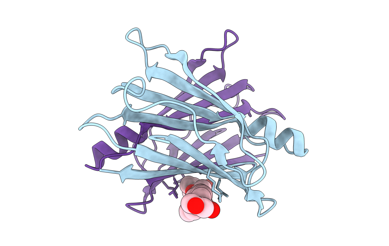 4N87 image