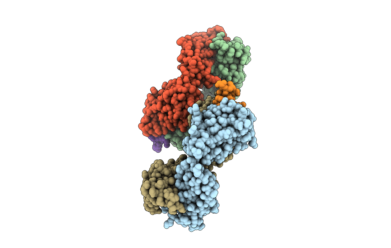 4N8C image