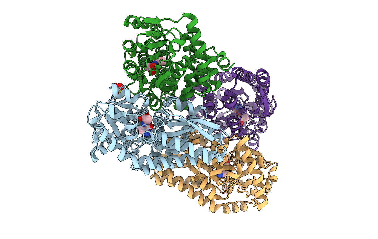 4N8G image