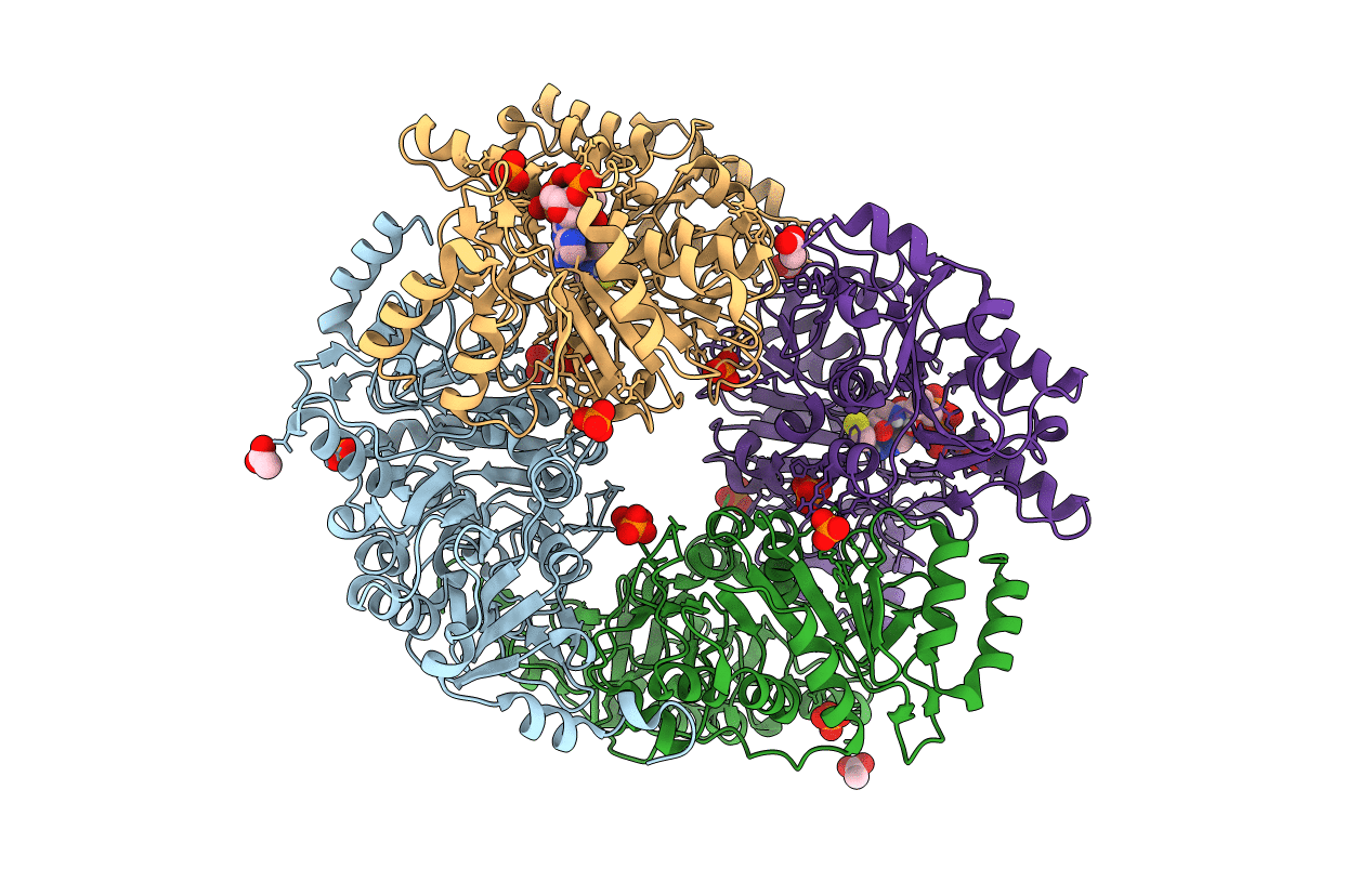 4N8J image