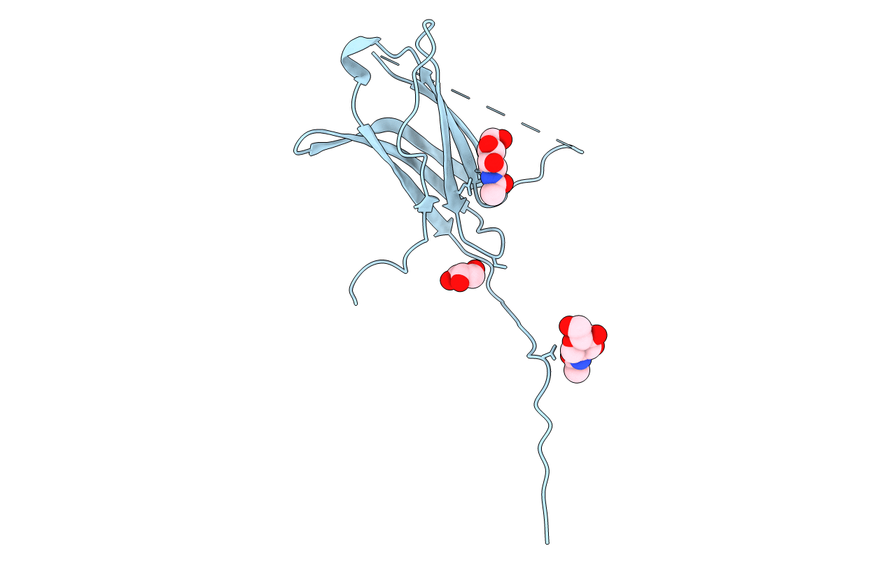 4N8P image