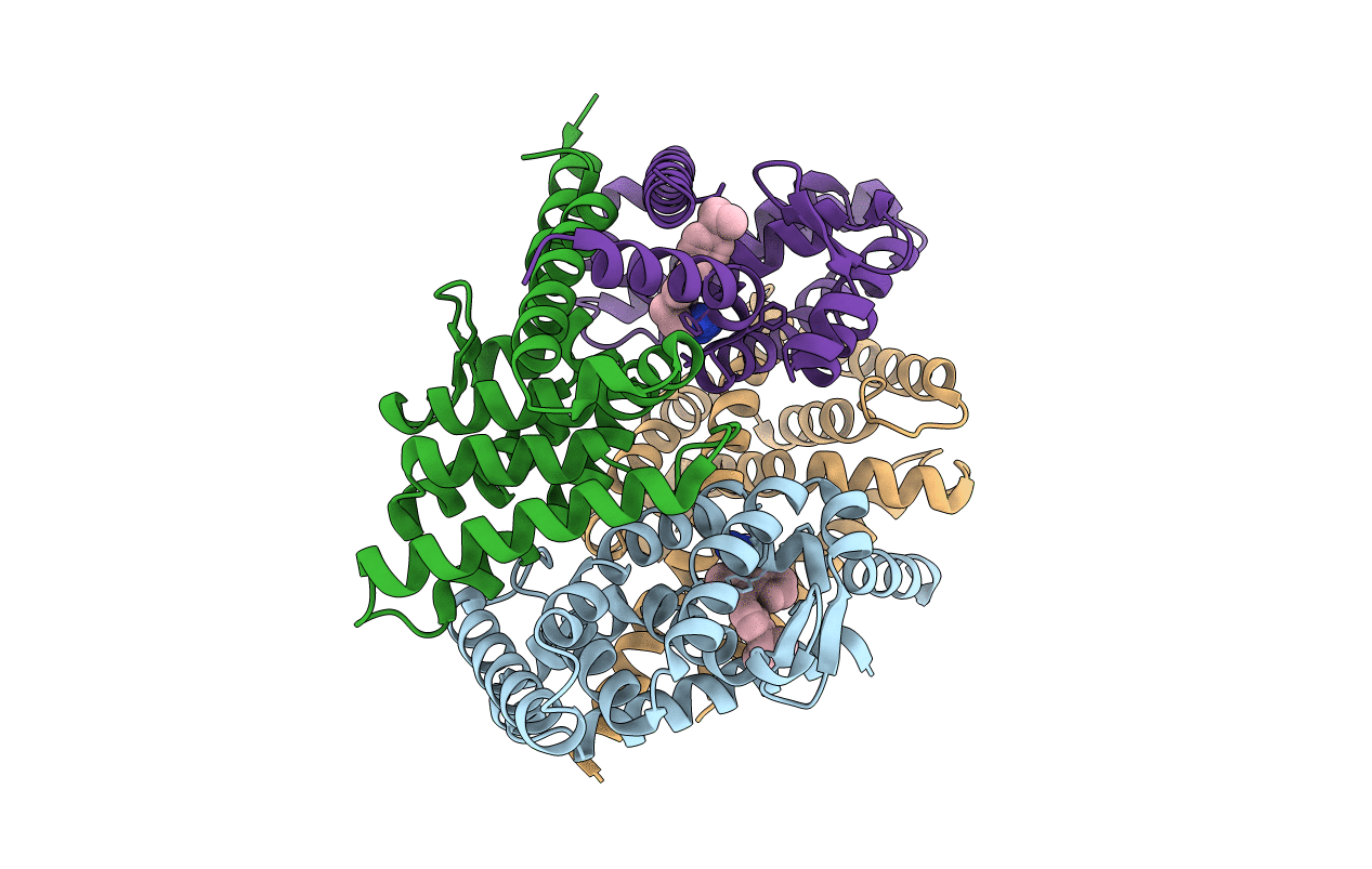 4N8R image