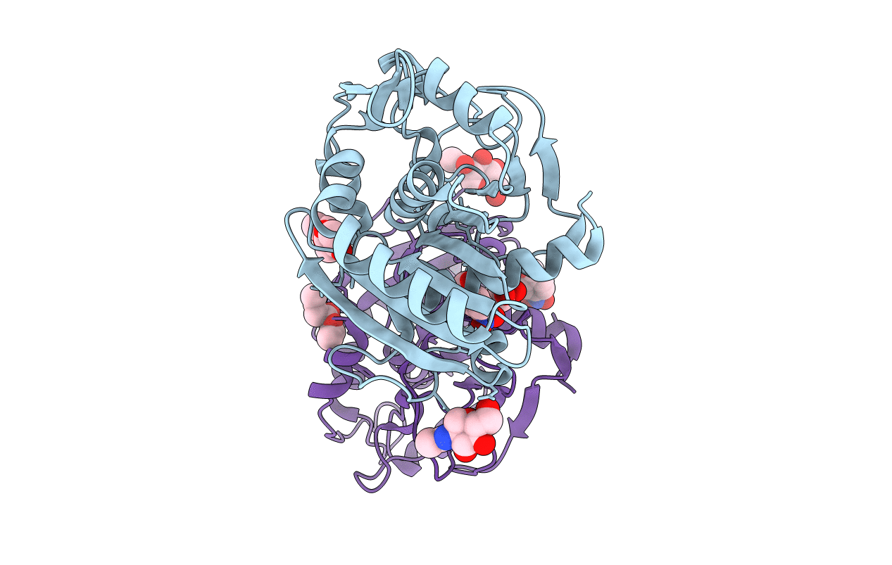 4N8S image