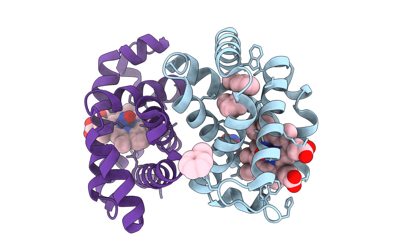 4N8T image