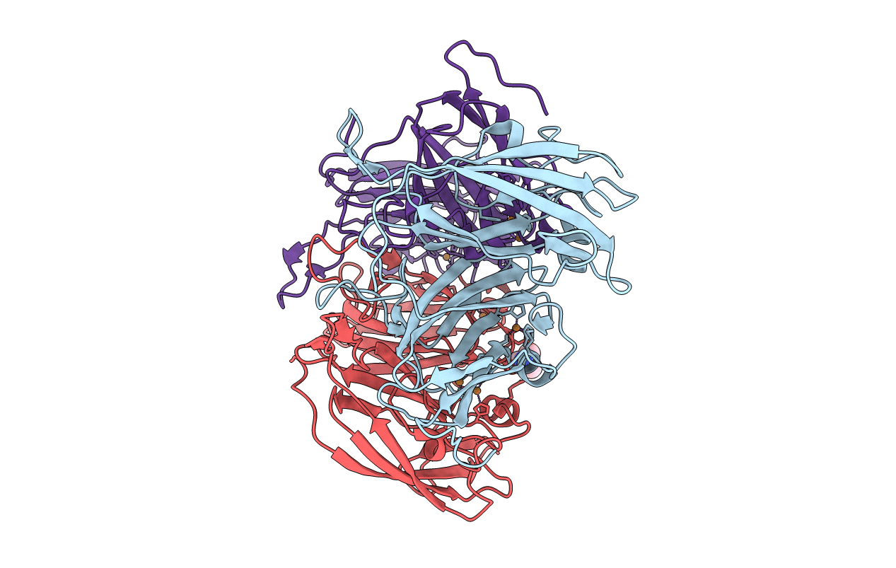 4N8U image