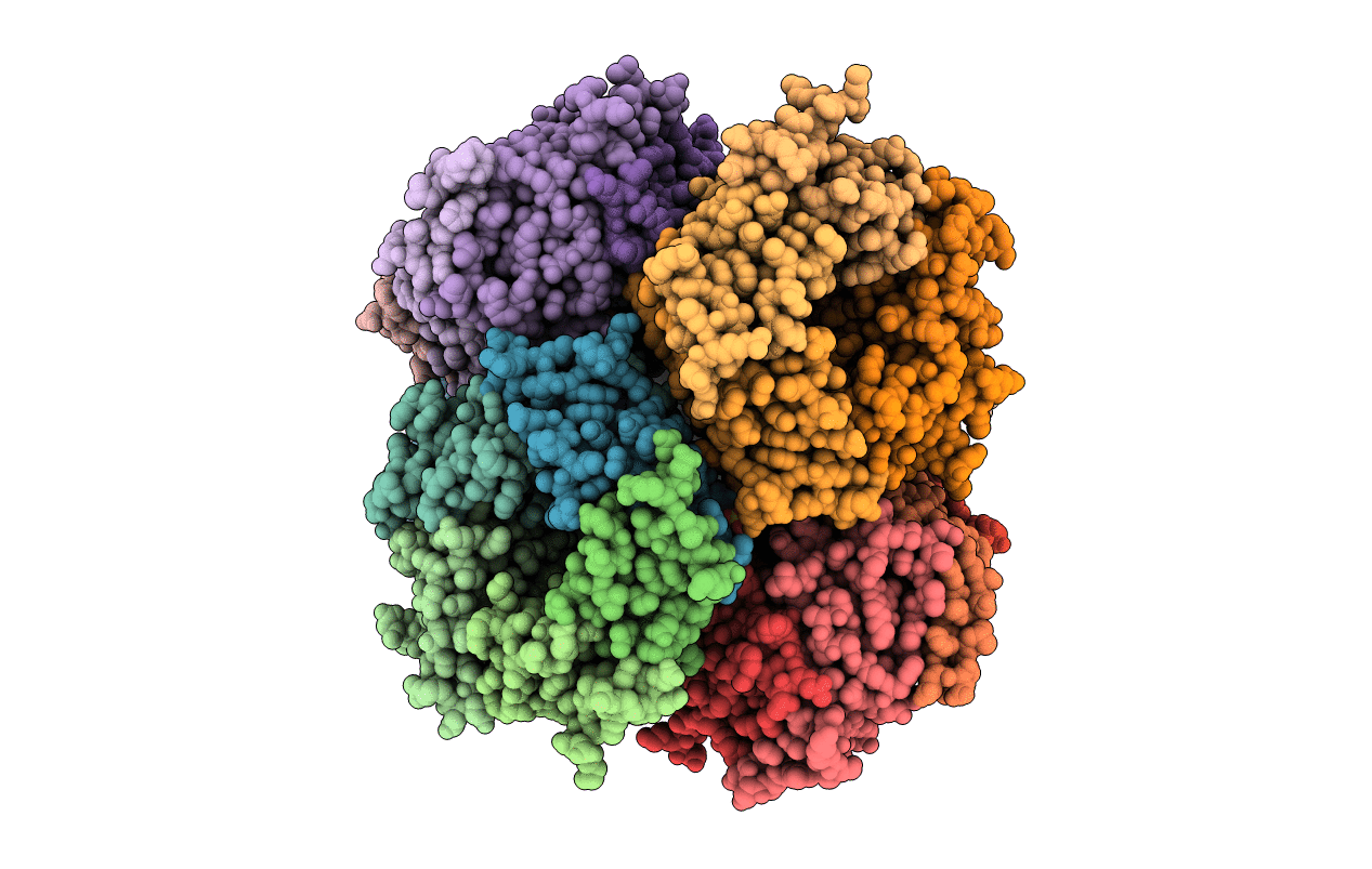 4N8X image