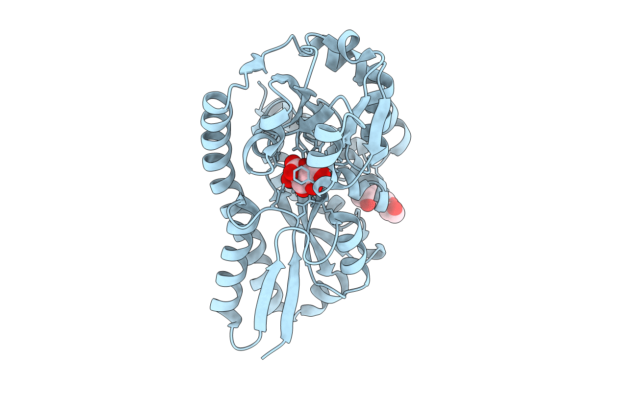 4N91 image