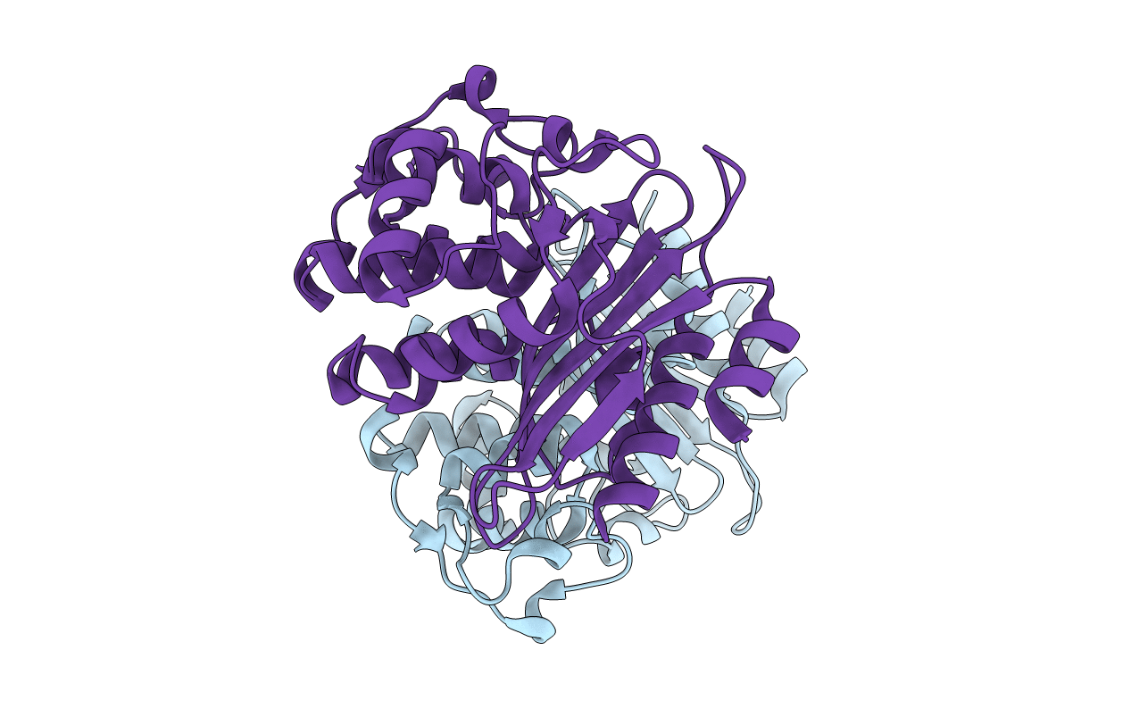 4N92 image