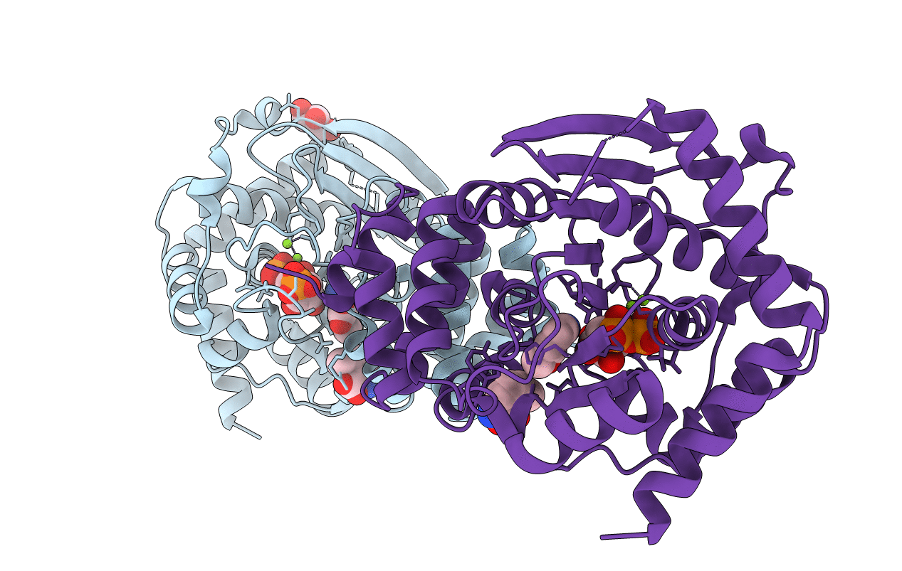 4N93 image