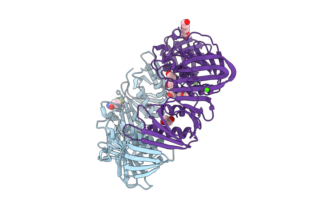4N94 image