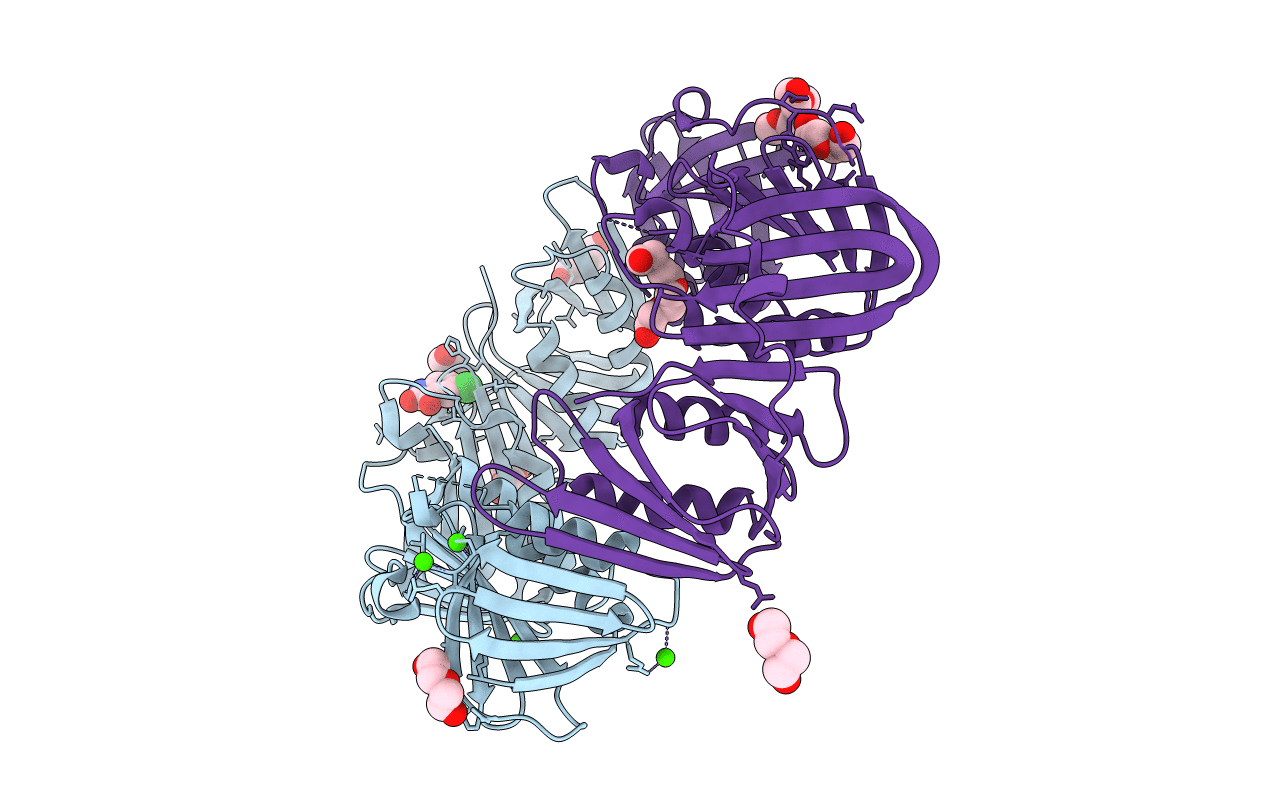 4N95 image