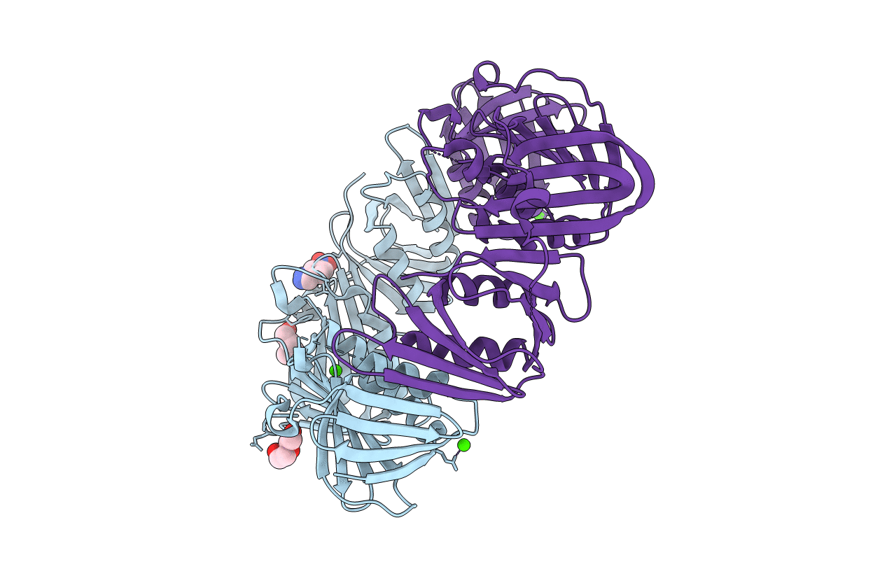 4N96 image