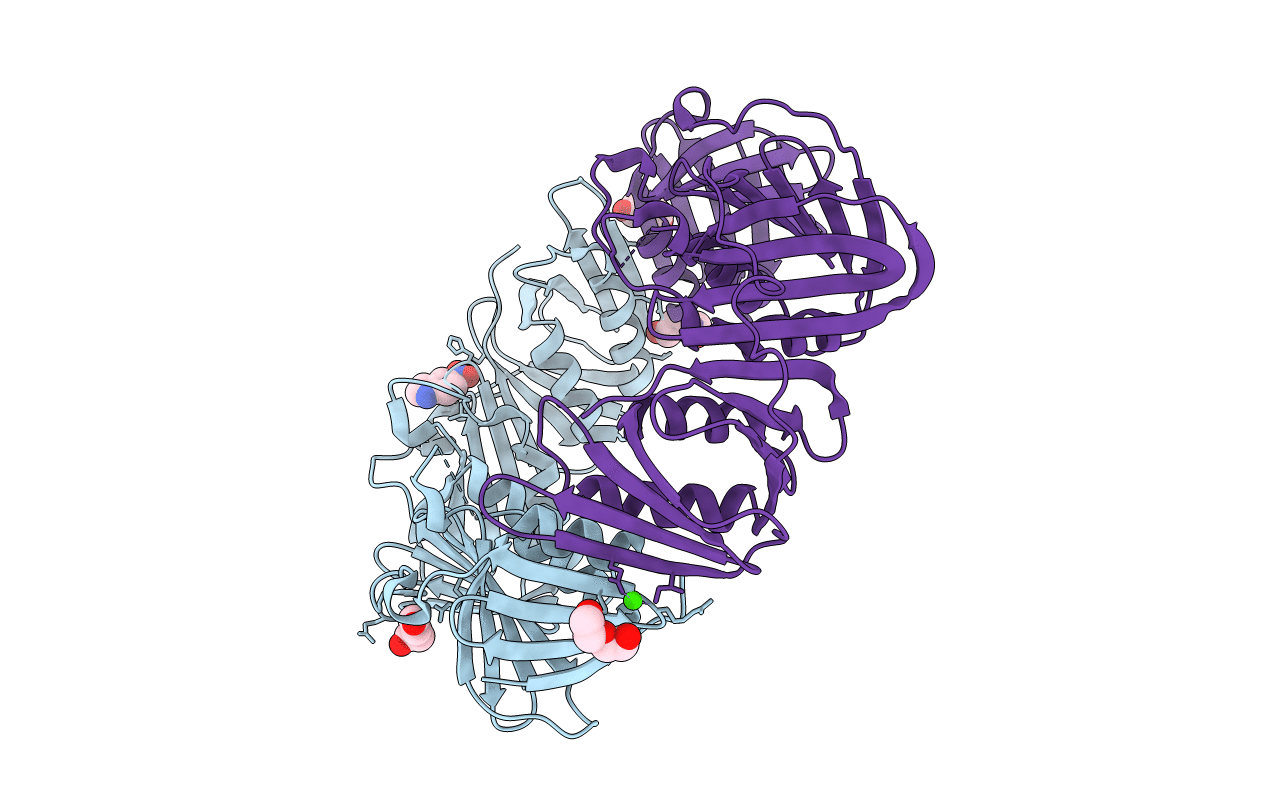 4N97 image
