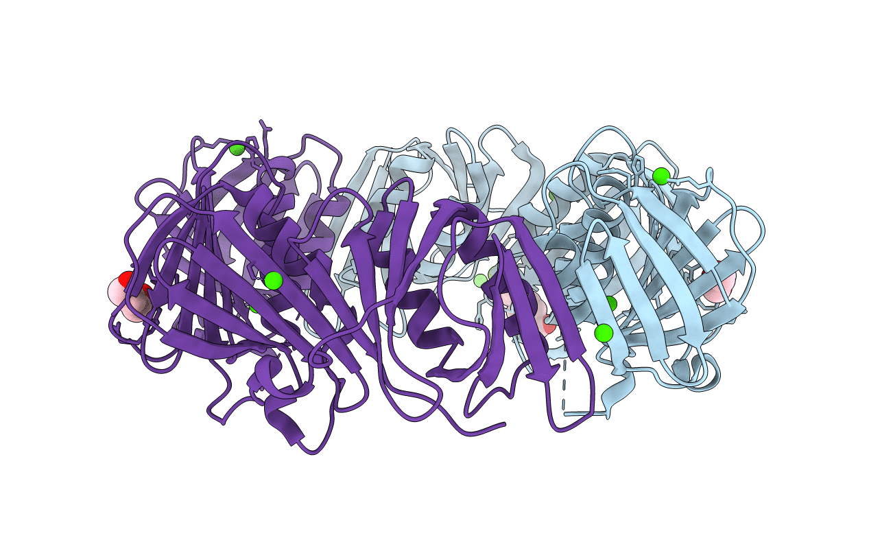 4N98 image